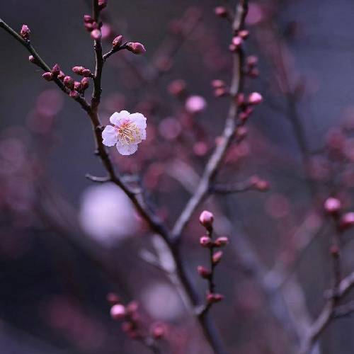 وقتی تخم چشمم نیمرو شد رو قیر داغ مثل روزنامه ای که می کنه